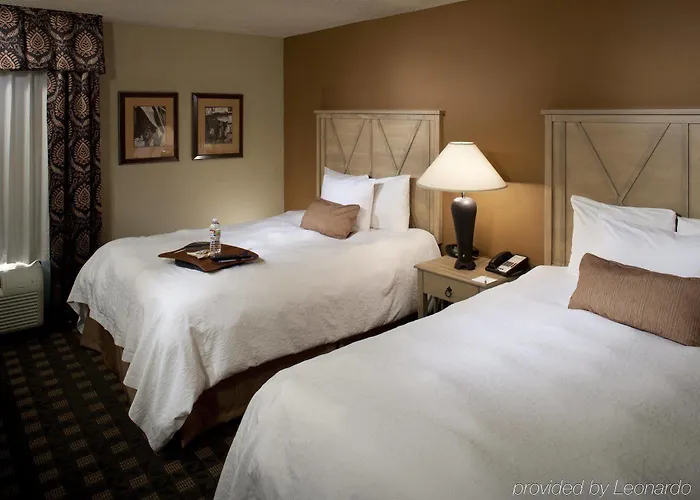 Hampton Austin 3*